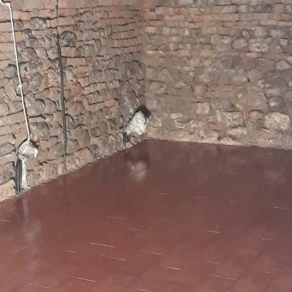 Borgo Regale (PR) Pareti e volte