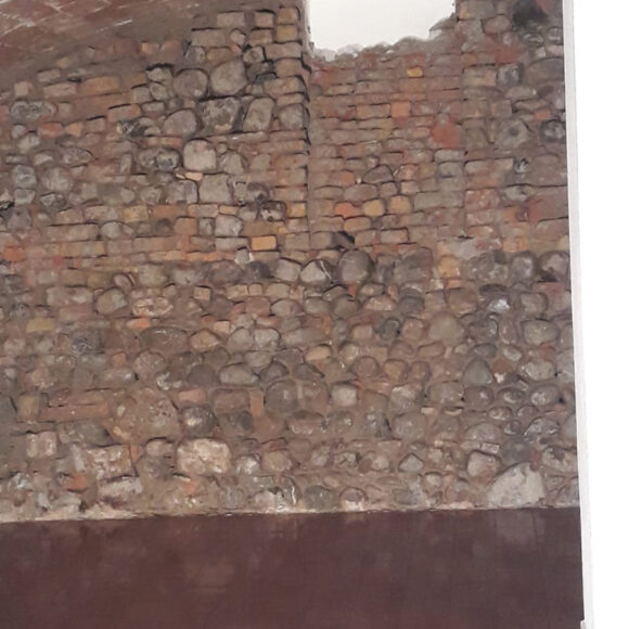 Borgo Regale (PR) Pareti e volte