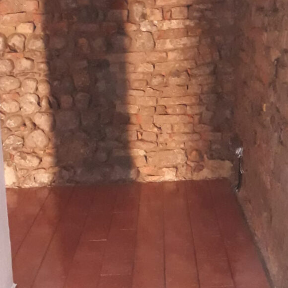 Borgo Regale (PR) Pareti e volte