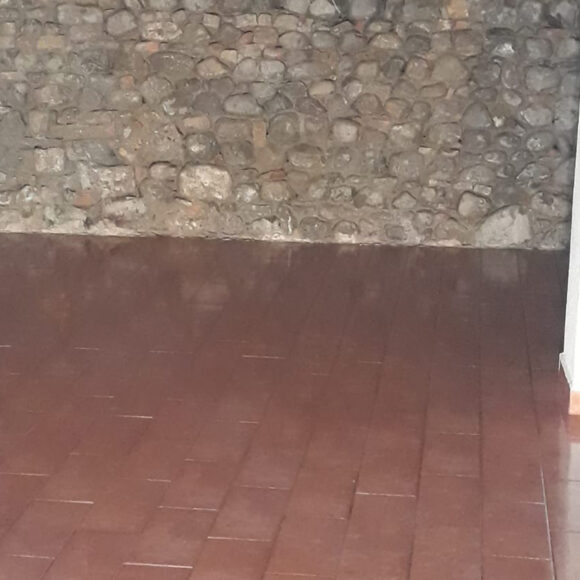 Borgo Regale (PR) Pareti e volte