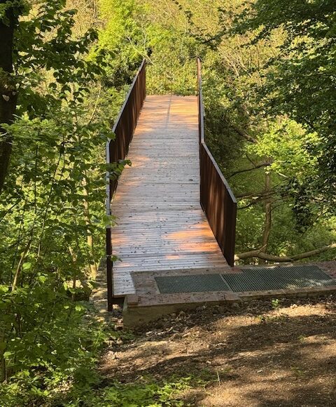 Ponte della Nave Sala Baganza (PR)