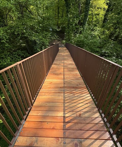Ponte della Nave Sala Baganza (PR)