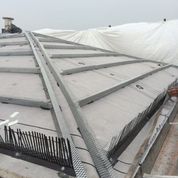 Piazza Garibaldi (PR)